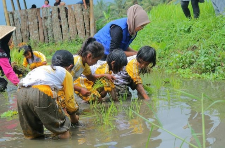Rice Planting